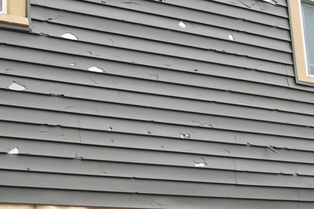 Reliable Estill, SC Junk Removal Solutions